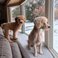 Window Seat Cushion for Cats & Dogs — Custom Size, Washable & Durable