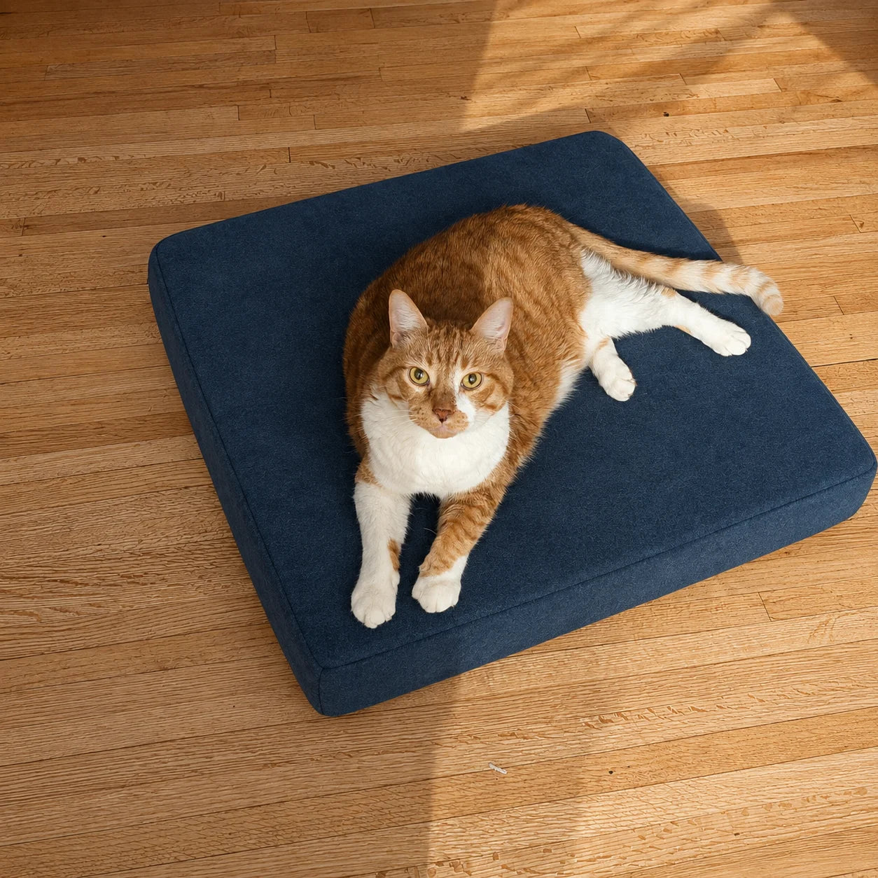 Custom Shape Cushion — Parallelogram, Angled & Irregular, Any Angle & Size