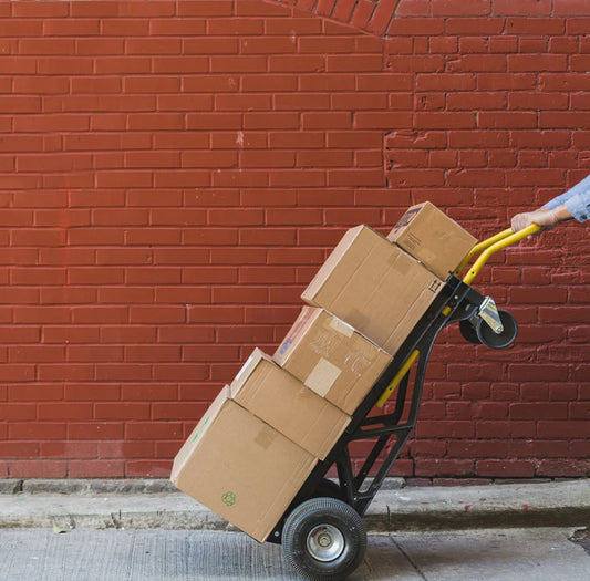 Additional Fee / Fast shipping