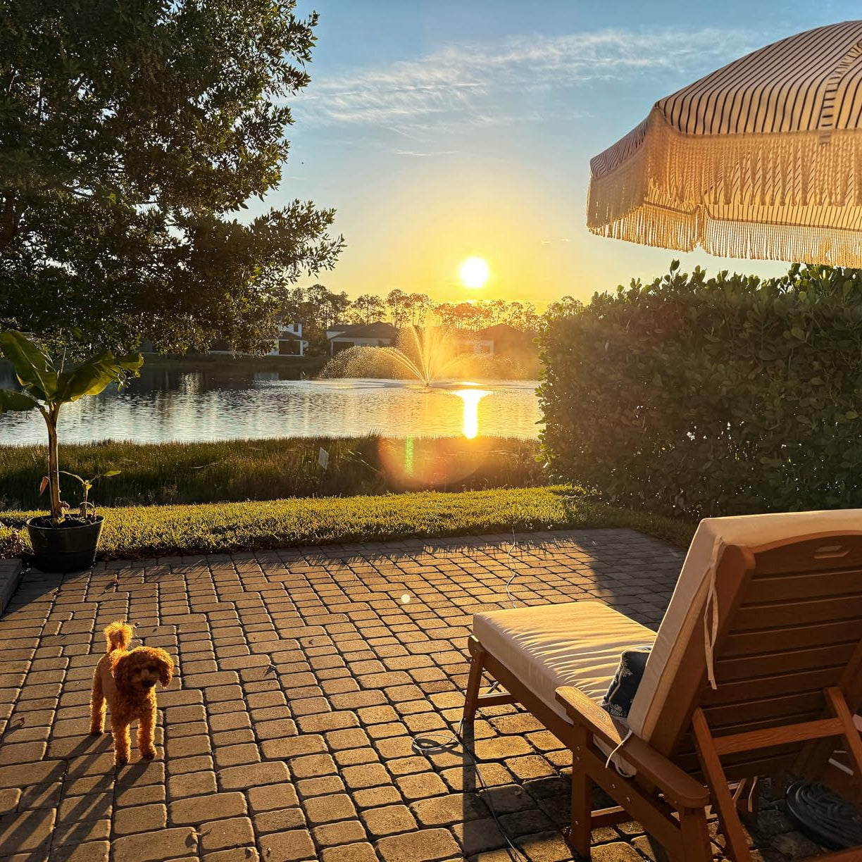 Outdoor chaise lounge cushions in white on poolside deck at sunset